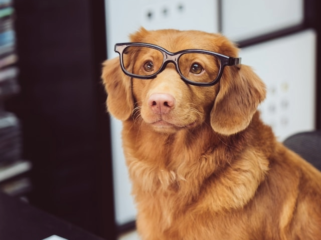 Picture for category Staff Picks 